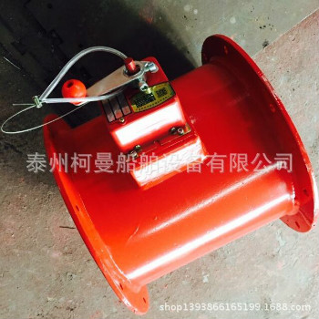 專業(yè)的電加熱除霧器